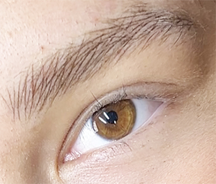 CEJAS